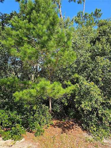 Ocala Homes and Farms Realty - Carla Lord Photo 1