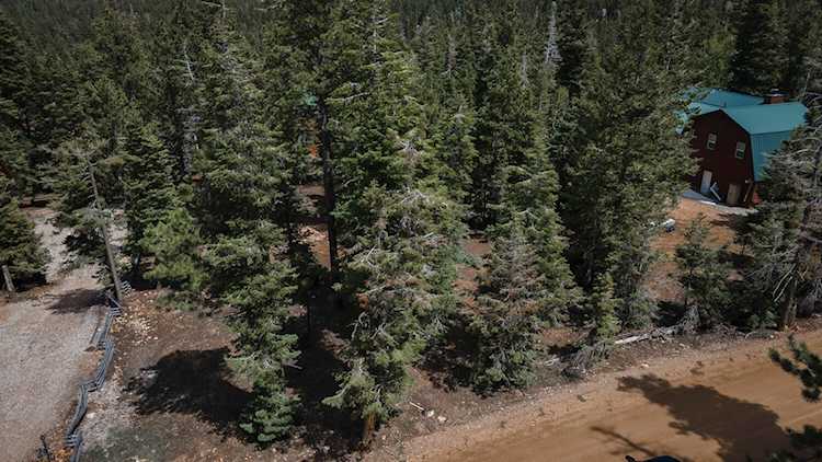 3380 N Cherokee LN #216 Duck Creek, UT 84762