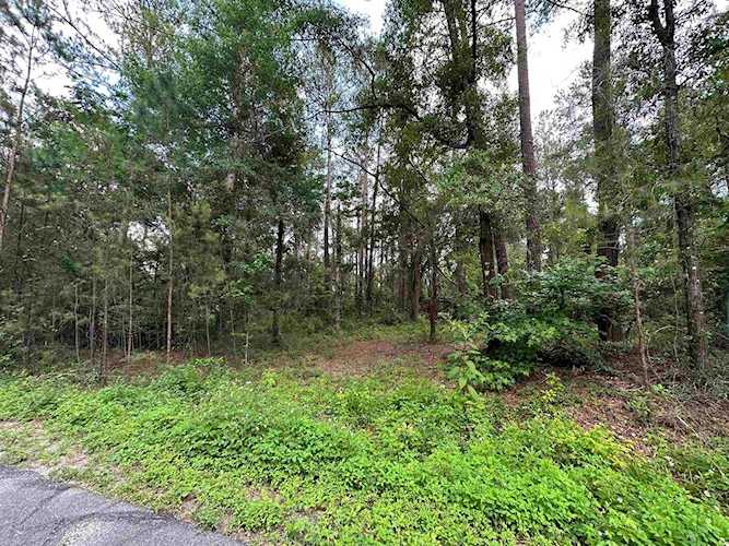 0 Jo Vincent Way Tallahassee, FL 32309