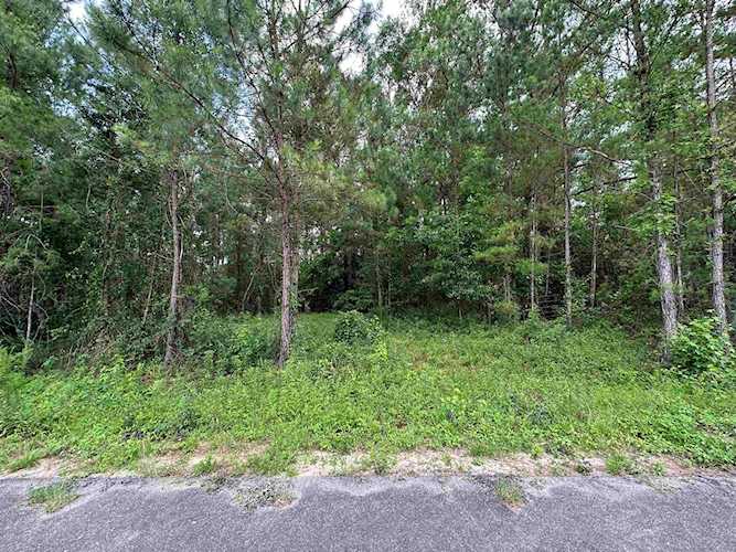 0 Jo Vincent Way Tallahassee, FL 32309