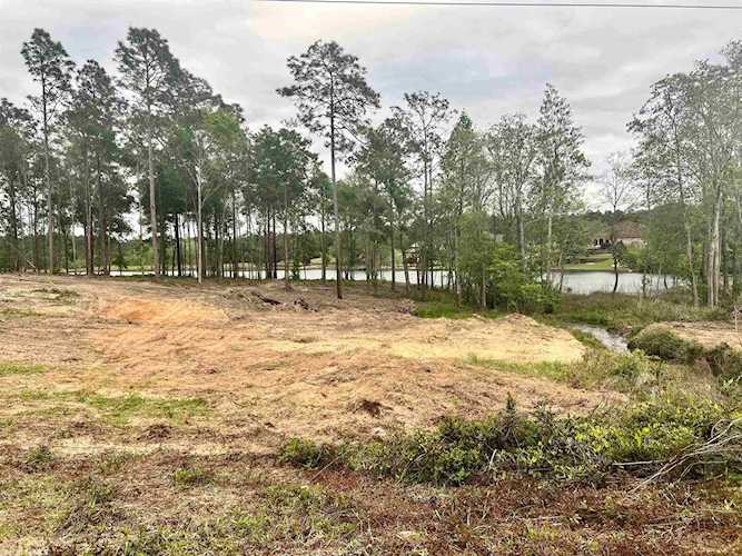 0 Dutchman Woods Dr #46 Mobile, AL 36695 | MLS 345150 Photo 1