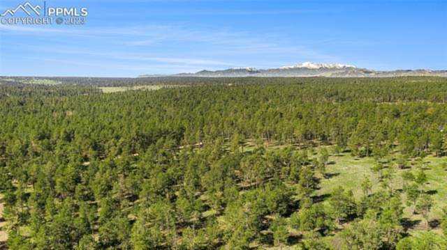 17312 W Goshawk Road Colorado Springs, CO 80908