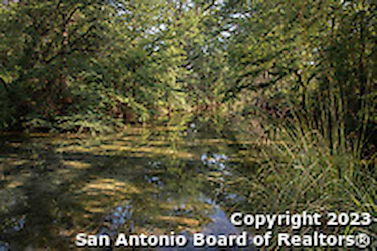 358 Cornelius Road Utopia, TX 78884