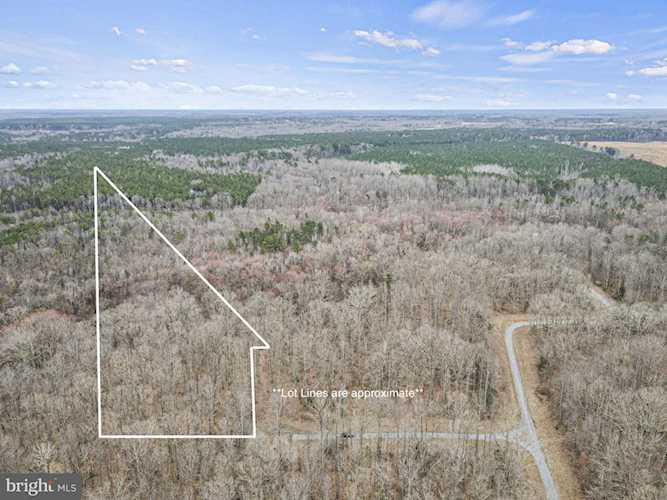 0 Wards Forest Ave Beaverdam, VA 23015