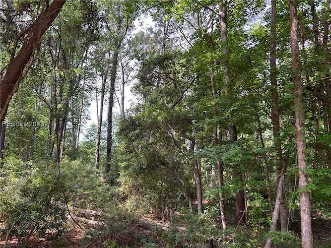 211 Cooper River Landing Rd Daufuskie Island, SC 29915 | MLS 436252 Photo 1