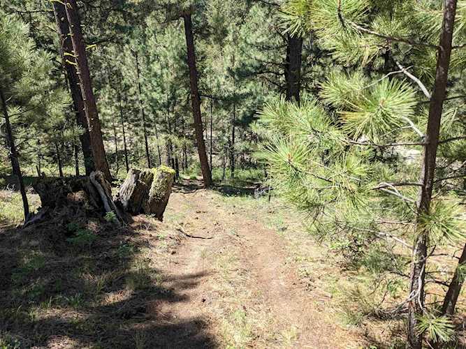 1442 Crown Point Parkway Cascade, ID 83611