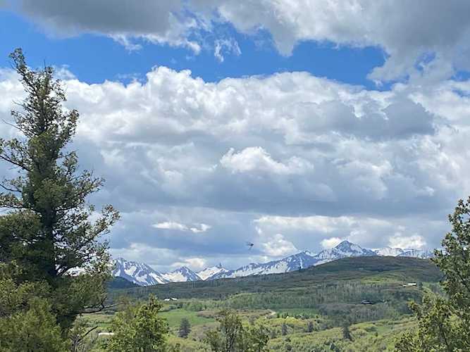 TBD Green Meadows Ln #114 Placerville, COLORADO 81430 | MLS 41368 Photo 1