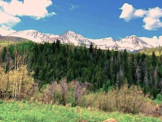 TBA Ross Rd #11A Placerville, COLORADO 81430
