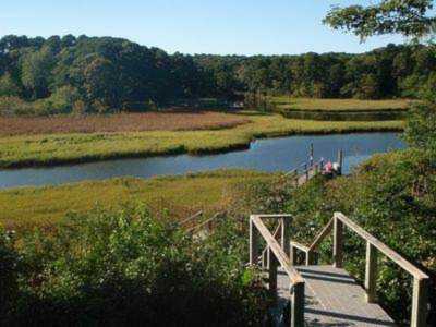 22 Driftwood Lane South Yarmouth, MA 02664 | MLS 22302115 Photo 1