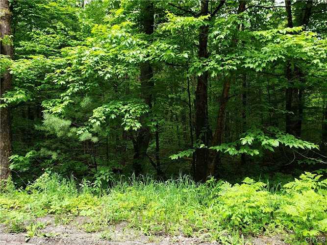 000 Partridgeville Rd Greig, NY 13345 MLS S1479793