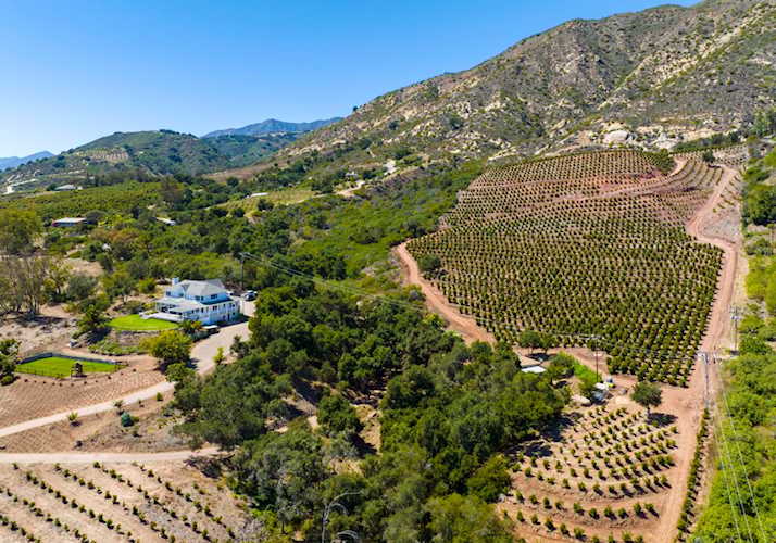 4508 Foothill Rd Carpinteria, CA 93013