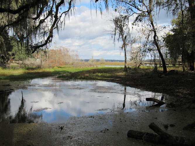 0 Lloyds Cove Rd Tallahassee, FL 32312