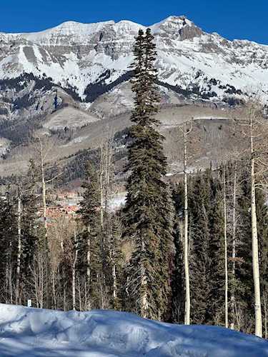 115 Cortina Dr #17R Mountain Village, COLORADO 81435