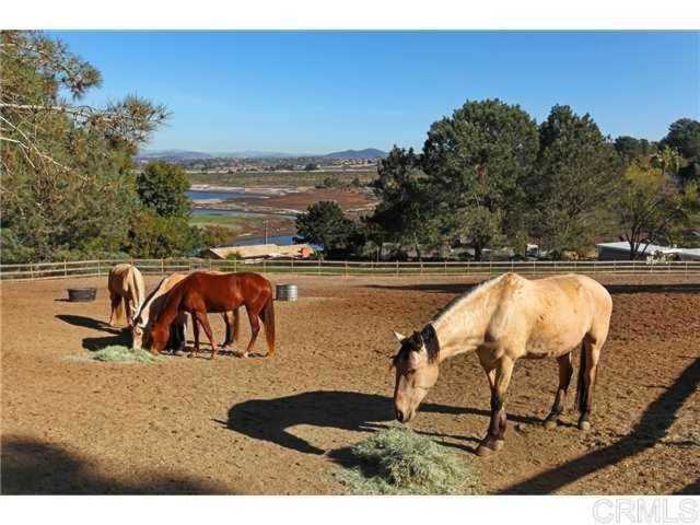 1810 San Dieguito 3 Del Mar, CA 92014
