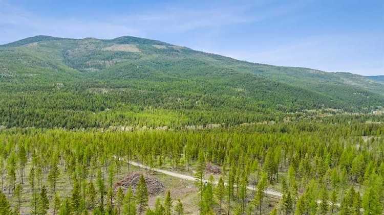 2713 Browns Meadow Rd Kila, MT 59920