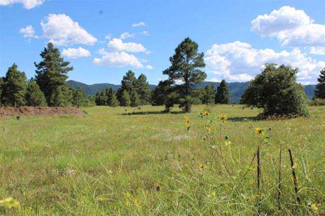 94 Convention Place Pagosa Springs, CO 81147 | MLS 803921 Photo 1