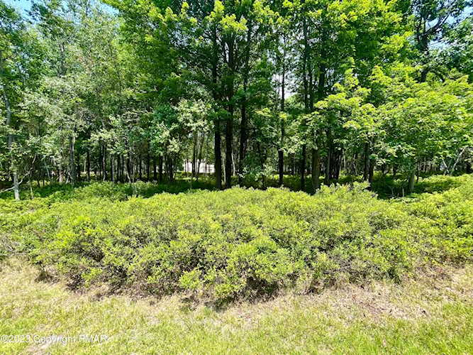 33 Forest Hill Dr Blakeslee, PA 18610