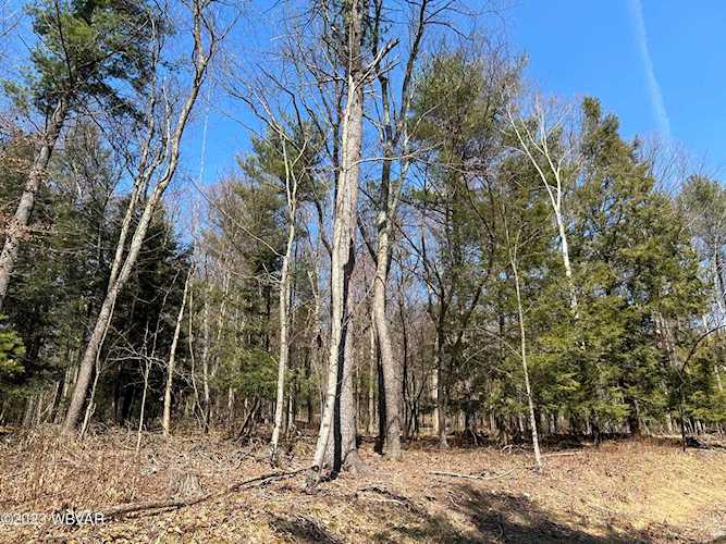 Tallman Hollow Rd Montoursville, PA 17754