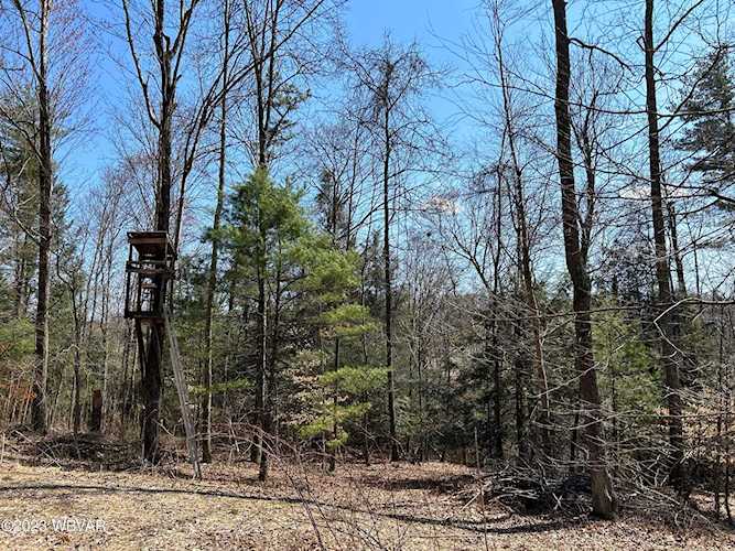 Tallman Hollow Rd Montoursville, PA 17754