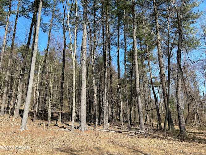 Tallman Hollow Rd Montoursville, PA 17754