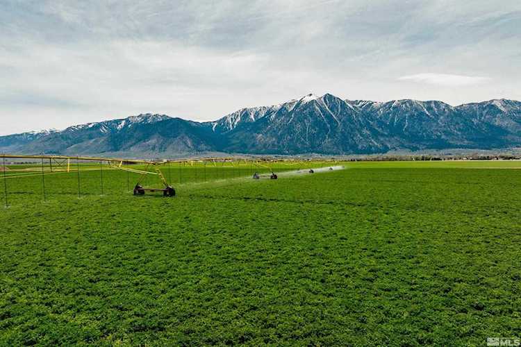 1089 Stockyard Road Minden, NV 89423