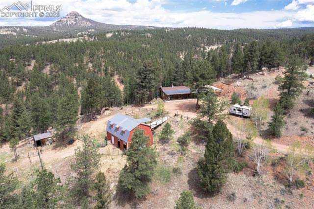 97 Kiowa Creek Trail Florissant, CO 80816