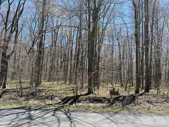 32 Forest Hill Dr Blakeslee, PA 18610