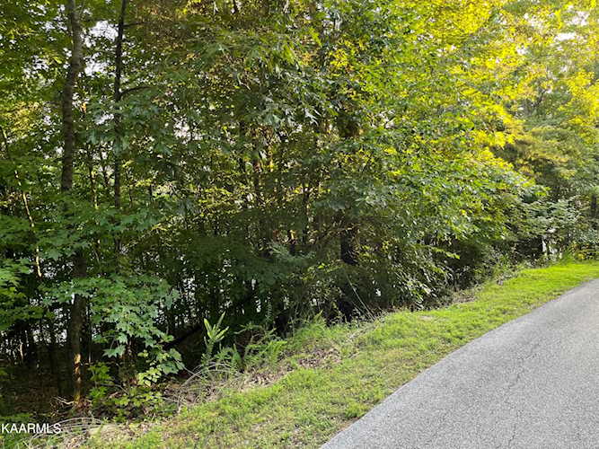 New Hope Rd, Lots 9,10,13 Rockwood, TN 37854