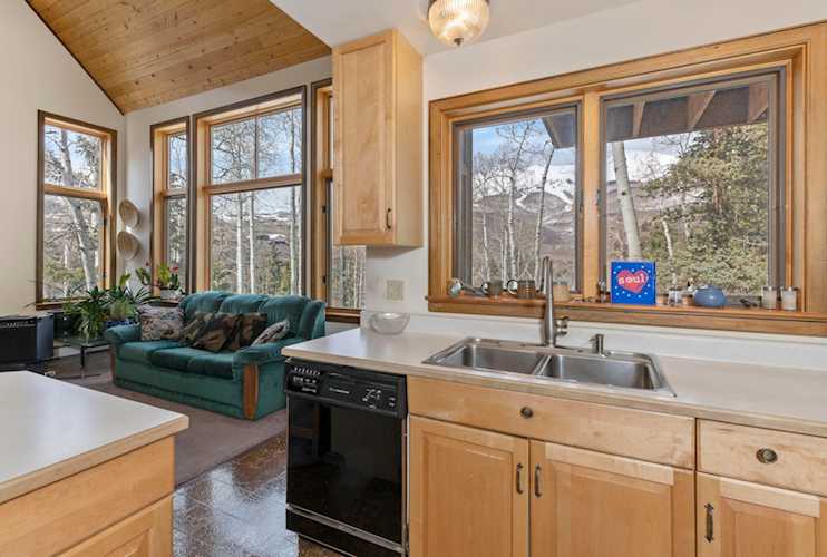 110 Timberline Ct Telluride, COLORADO 81435