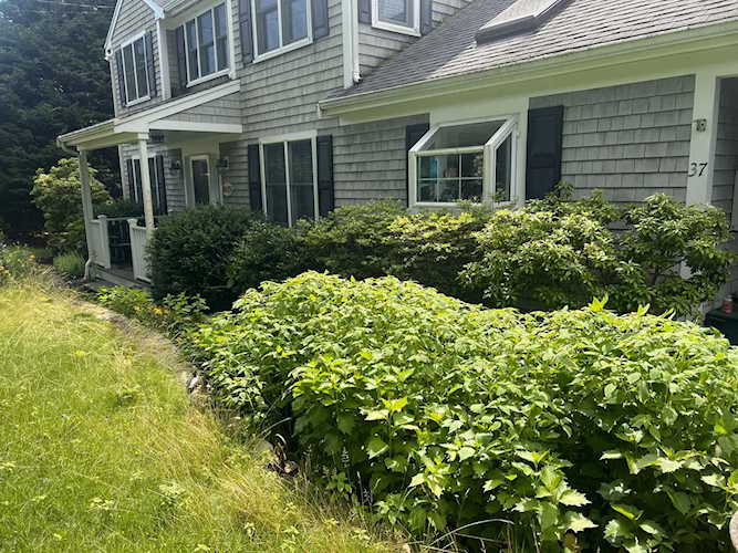 37 Monahansett Road Mashpee, MA 02649