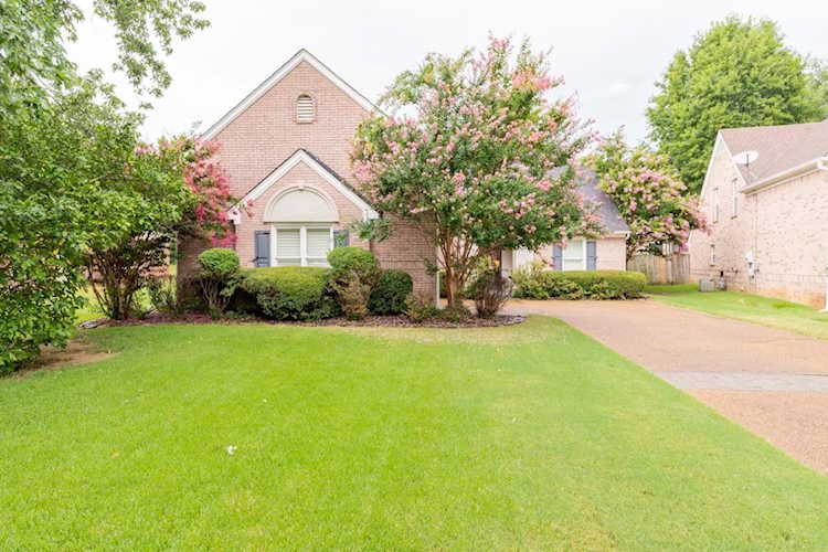 8234 Waverly Cv Olive Branch, MS 38654
