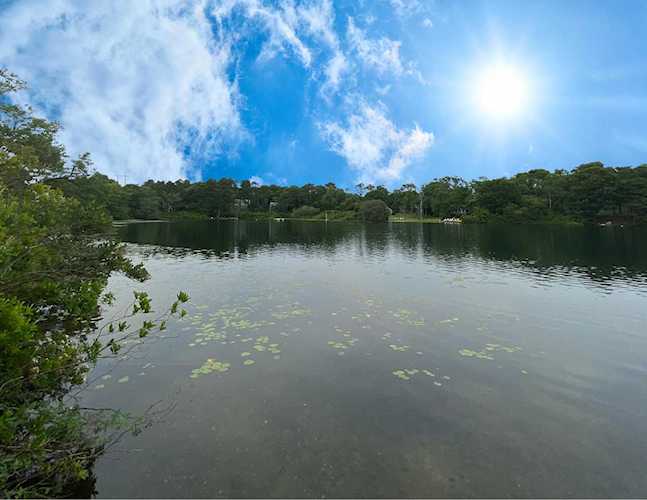 50 Hatch Way Eastham, MA 02642