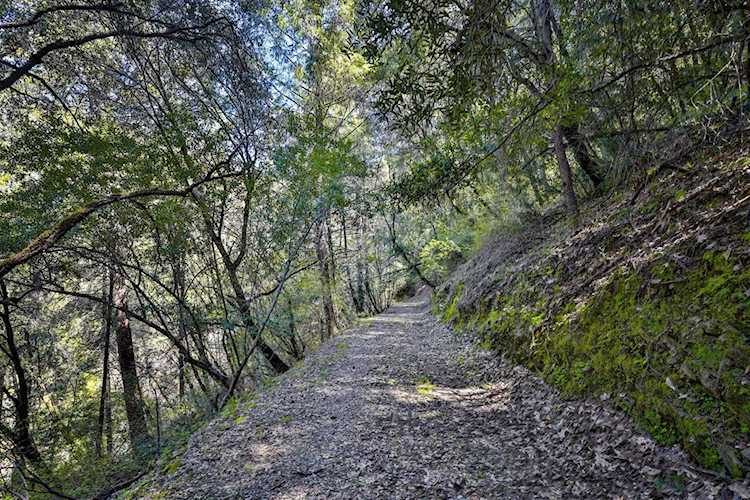 Address Withheld Placerville, CA 95667