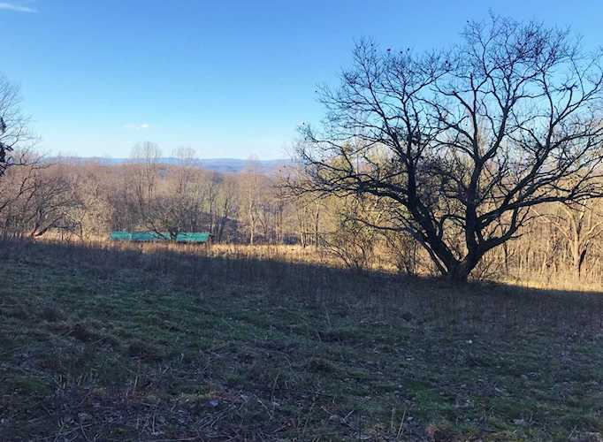 Back Valley Road Lindside, WV 24951