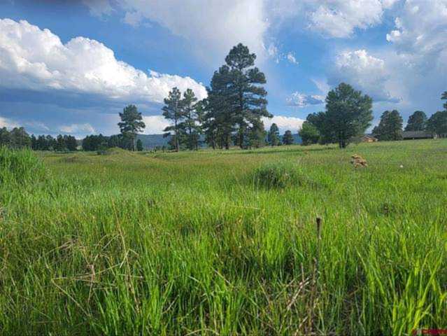 168 Sandlewood Drive Pagosa Springs, CO 81147 | MLS 803953 Photo 1