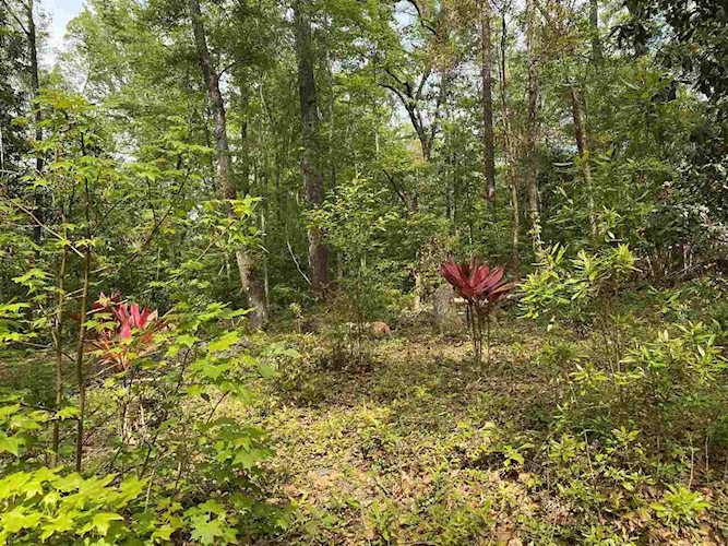 Lot 14 Crestwood Drive Tallahassee, FL 32311