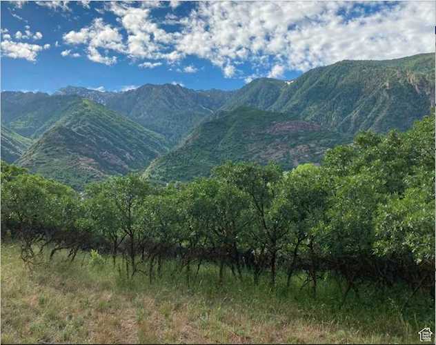 98 Lone Hollow Dr Sandy, UT 84092