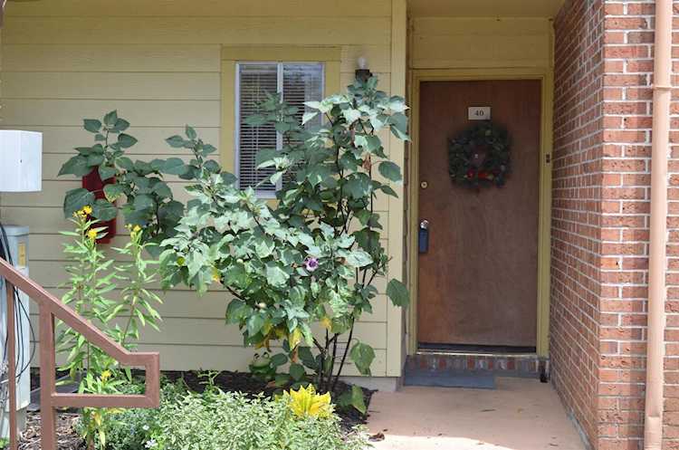 2731 S Blair Stone Rd Tallahassee, FL 32301