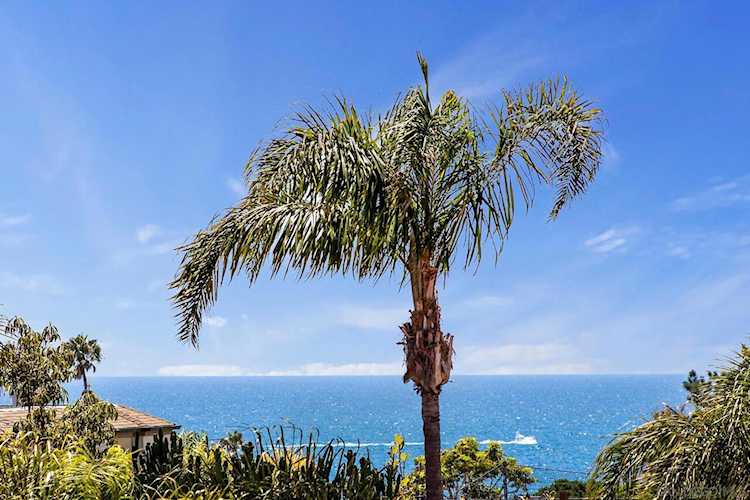 7550 Eads Ave #207 La Jolla, CA 92037