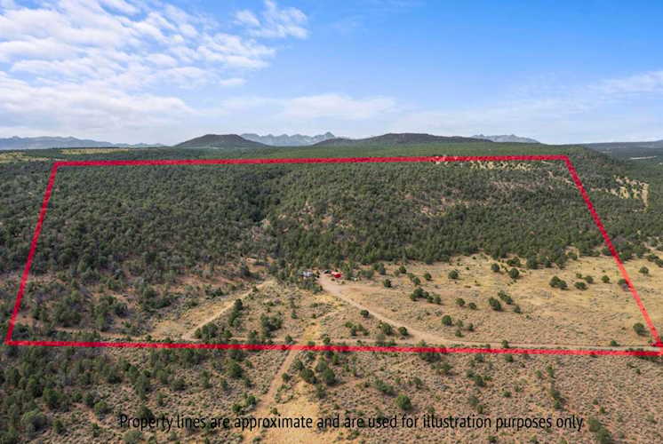 267 County Road 1E Montrose, COLORADO 81403