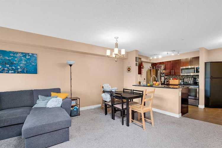 2715 12 Ave SE 314Calgary Real EstateAlbert Park/Radisson Heights