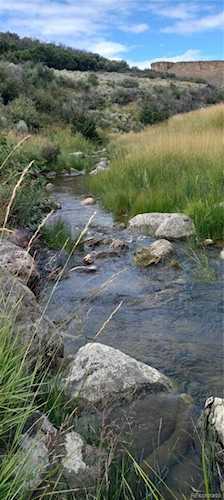 0 Cr 41 Hamilton, CO 81638
