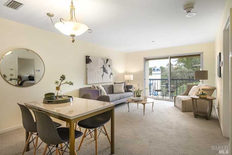 100 Thorndale Drive #303 San Rafael, CA 94903