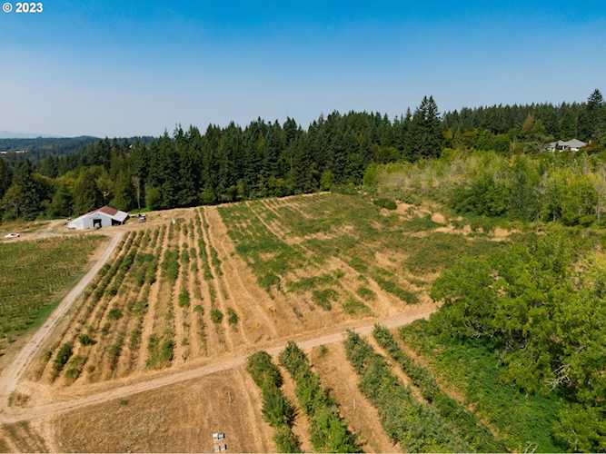 17719 NE 182nd AVE Brush Prairie, WA 98606