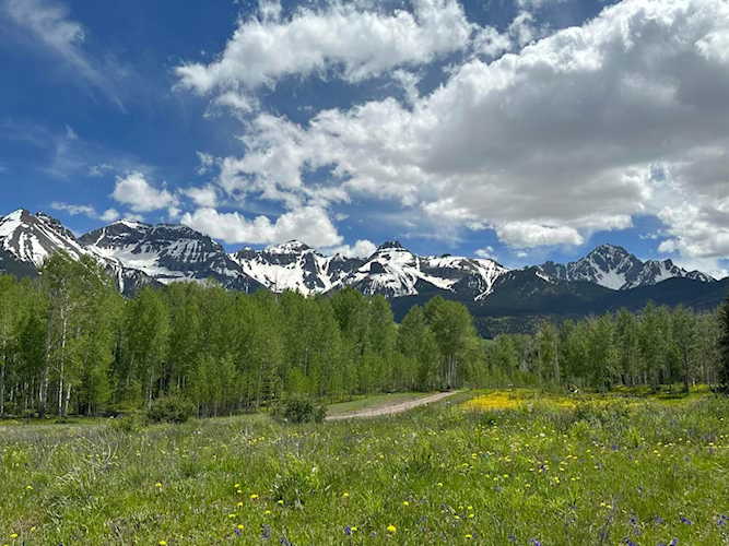 TBD County Road 5 #12 Ridgway, COLORADO 81432