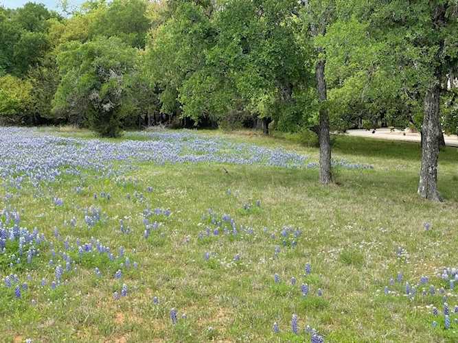 108 & 110 Discreet Horseshoe Bay, TX Horseshoe Bay 78657 | RE/MAX Horseshoe Bay Photo 1