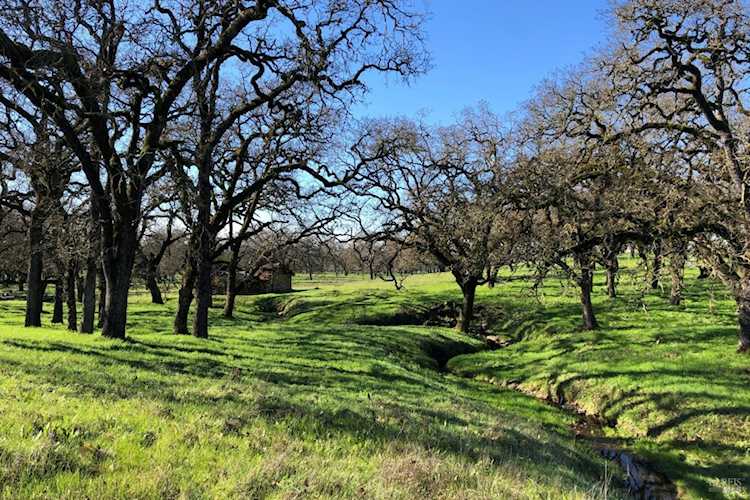 3111 Piner Road Santa Rosa, CA 95401