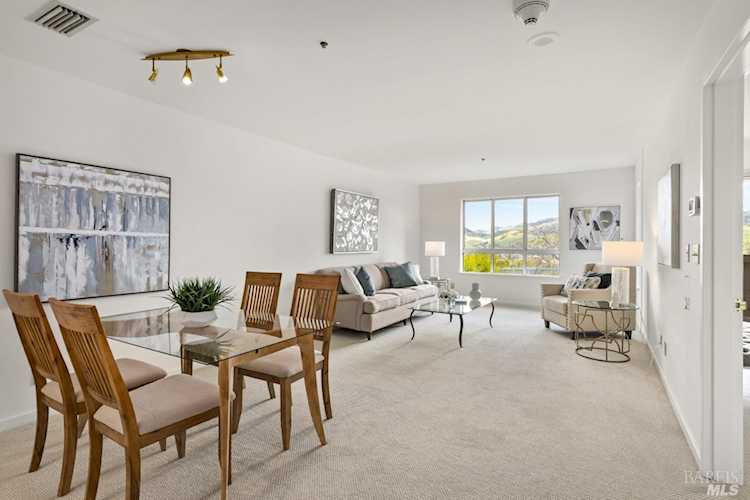 100 Thorndale Drive #246 San Rafael, CA 94903