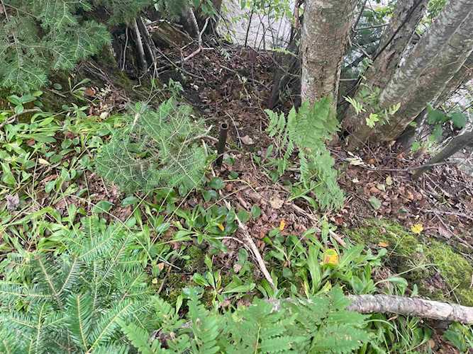 618 Cottage Rd Averill 05903 VT home for sale 119,200 4967987