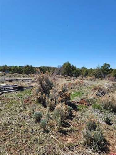 tbd La Mesa Vista Dr Norwood, COLORADO 81423